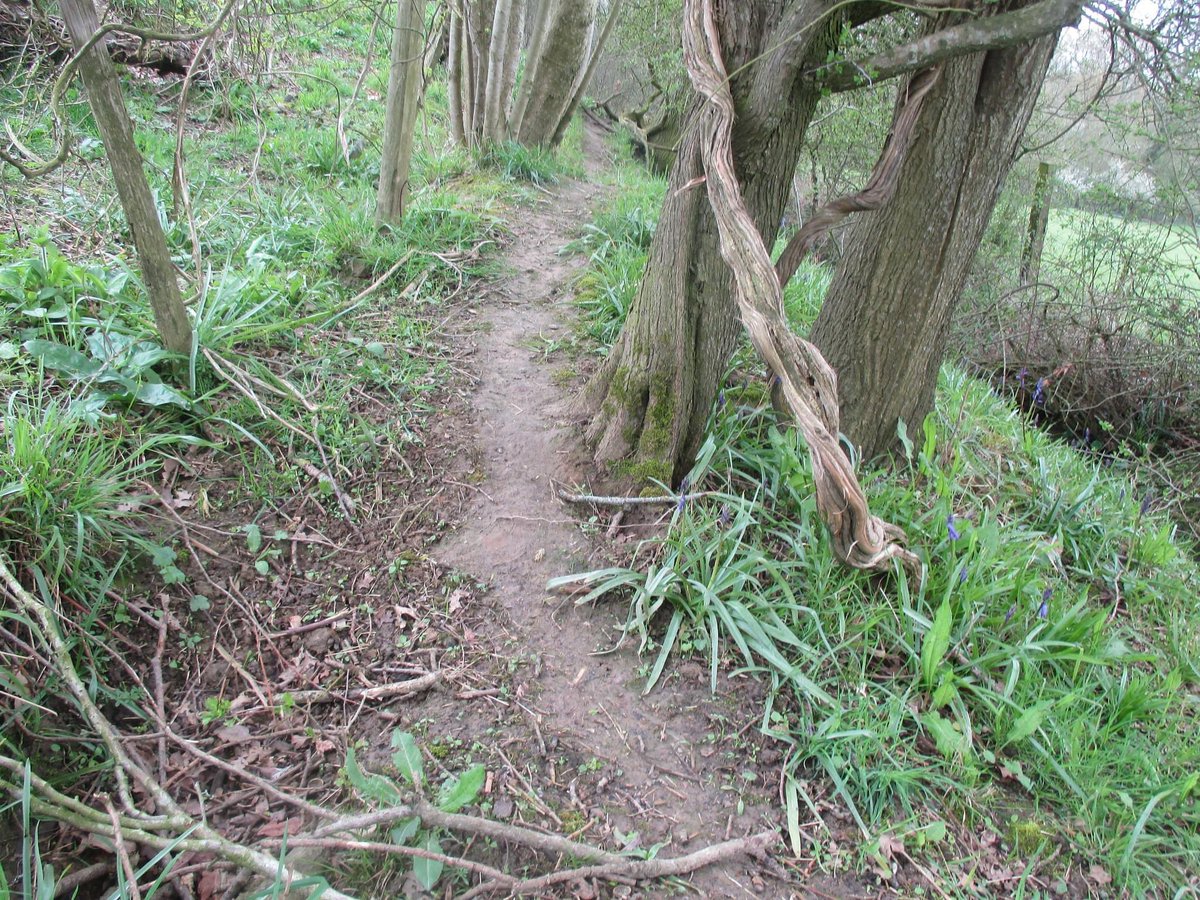 Pearce Environment (@pearceenviro) on Twitter photo 19th August Level 1 - Badger Ecology and Sett Surveying: £100 pp
Badger Ecology/badger crime
legislation ,survey a sett, mapping, sett monitoring , trail cameras
1 day course with classroom and outdoor session, charlie@pearce-environment.co.uk 19th August Level 1 - Badger Ecology and Sett Surveying: £100 pp
Badger Ecology/badger crime
legislation ,survey a sett, mapping, sett monitoring , trail cameras
1 day course with classroom and outdoor session, charlie@pearce-environment.co.uk