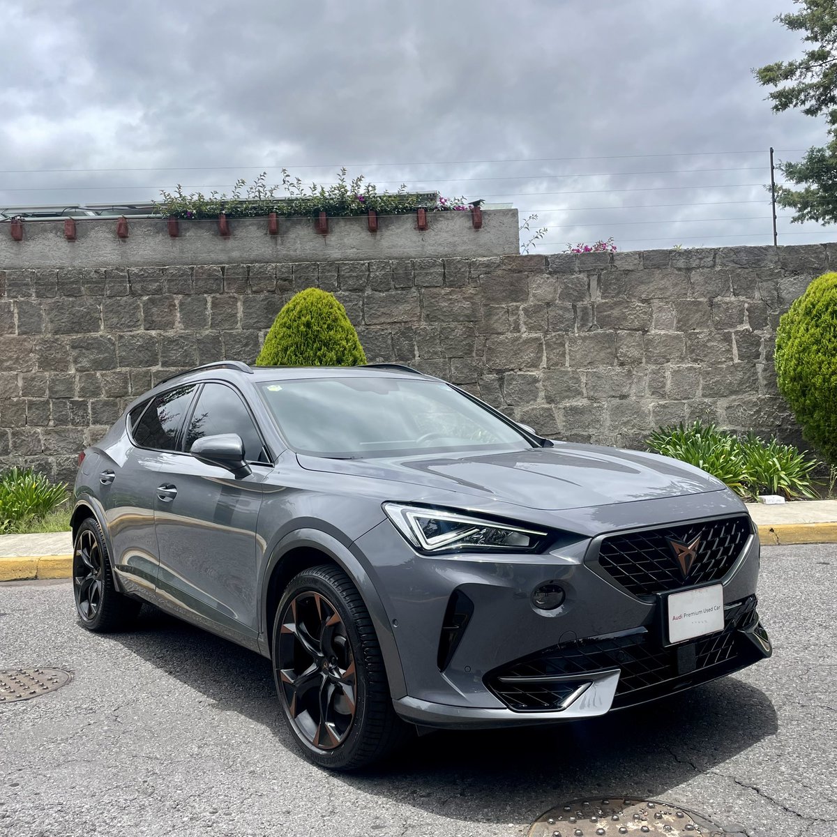 AudiToluca's tweet photo. Cupra Formentor 5p L4/2.0/T/310
Disponible para entrega inmediata*
Visita nuestra página
 https://t.co/xtdNGsAJrh https://t.co/heE4HyvOi7