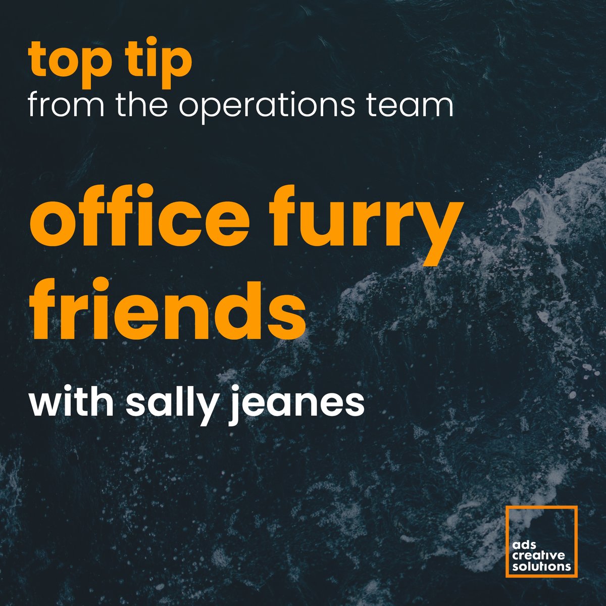 adsoxford's tweet image. What would we do without our fluffy friends?

Having dogs in the office is an absolute pleasure, and Sally takes us through how to effectively manage your four-legged friends at work!

#officedogs #agencylife