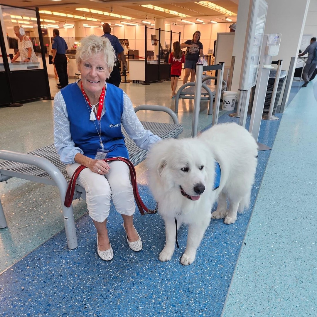 JAXairport's tweet photo. Meet our new #JAXPaws team, Ulla & Marley!
#airporttherapydogs #pettherapy https://t.co/UNJqft1Gj4