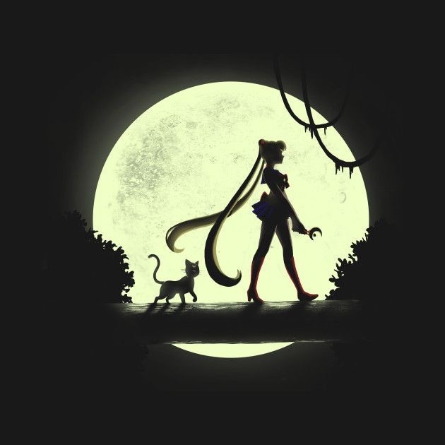 🐈‍⬛🐈‍⬛