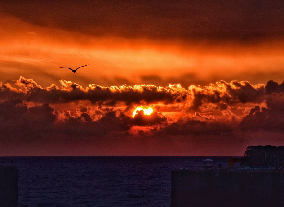 Sunset in #Kilmore. By NikkiStix Photography. #Wexford #Ireland