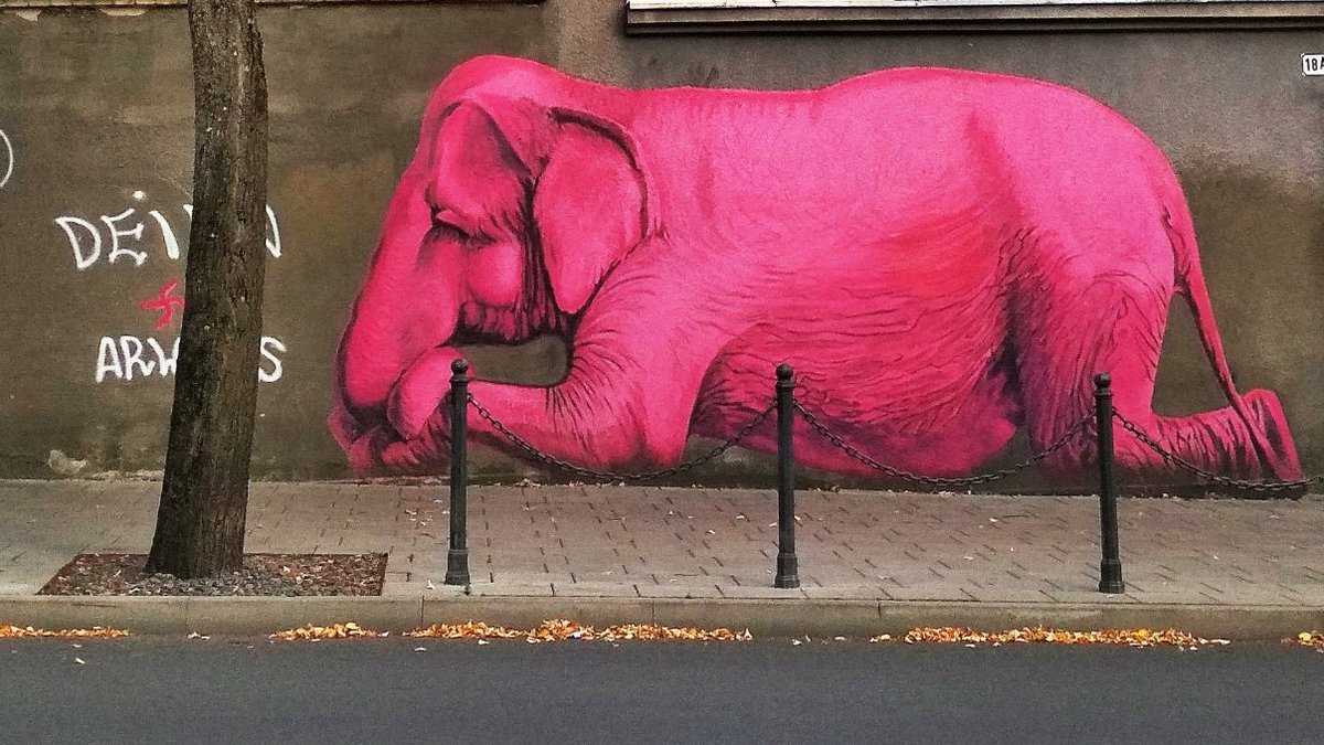 Wir unterstützen die #Petition des Netzwerkes Berufe im Gesundheitswesen (BIG). Als Expertinnen für Diätetik, #Ergotherapie, Logopädie, Medizinische Technologie, Orthoptik und Physiotherapie fordern wir die Beteiligung: Lasst uns die #Krankenhausreform mitgestalten.