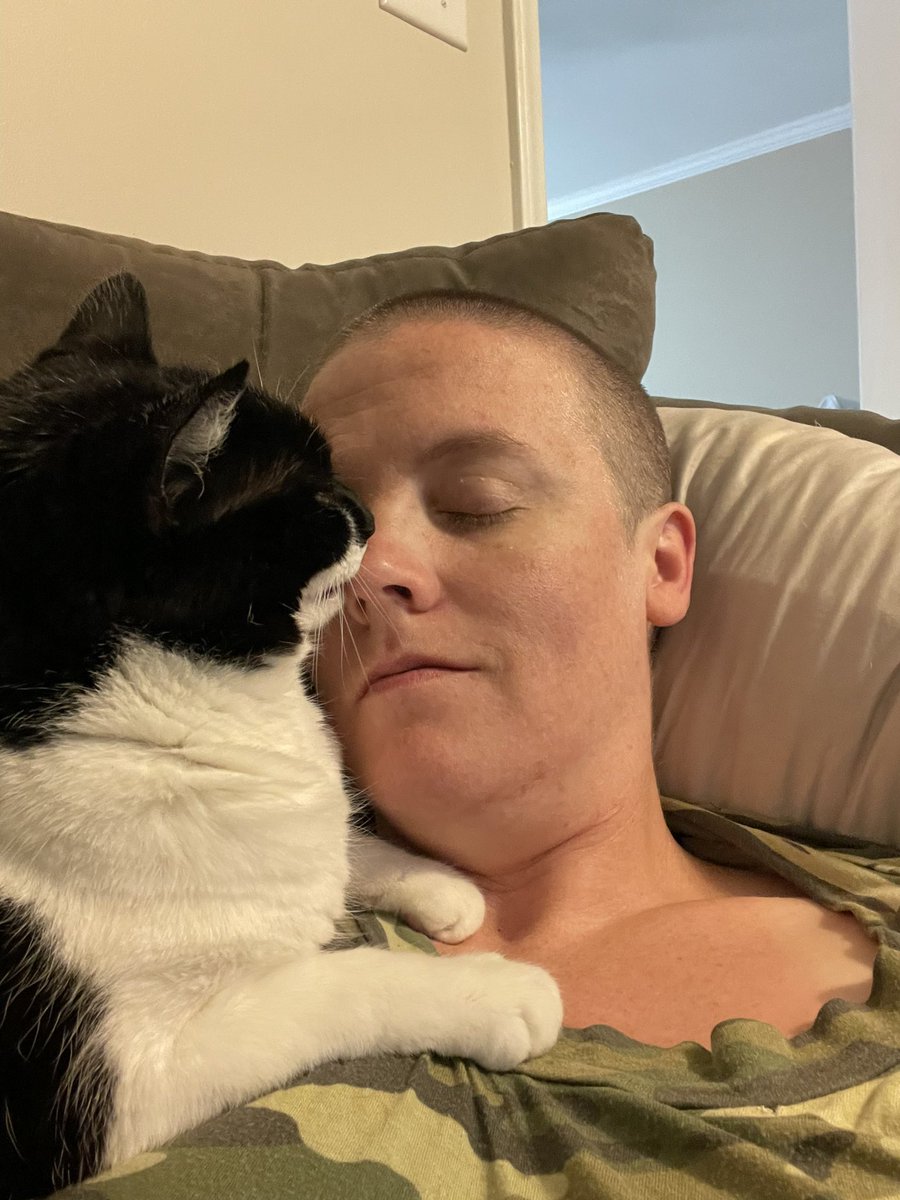 tuxedosiblings's tweet image. Me givings emotional supports❤️❤️
#CatsOfTwitter #tuesdaymotivations