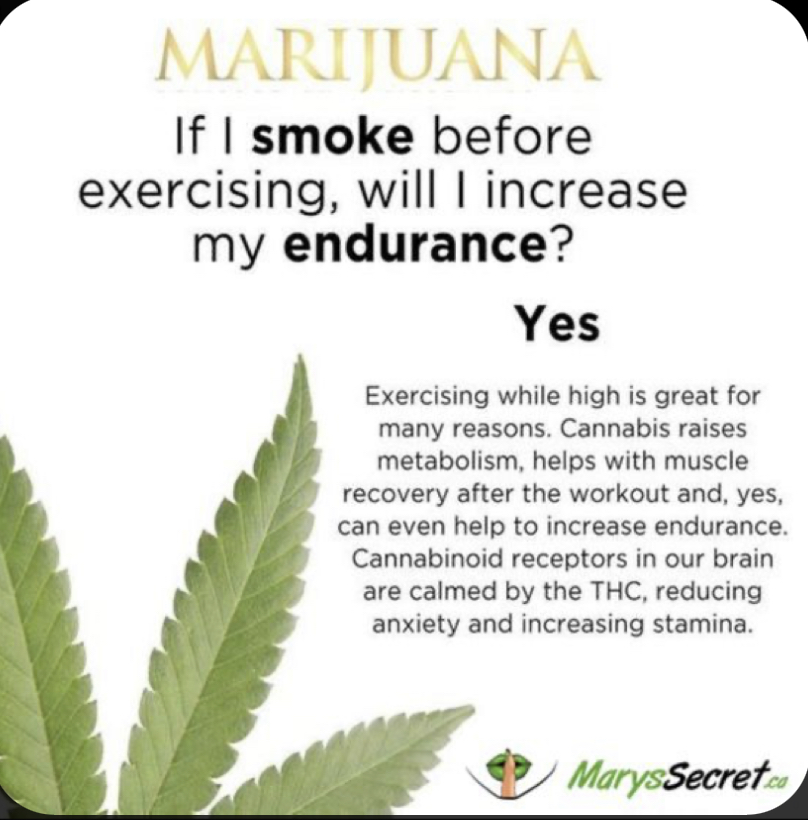 drnatmed's tweet photo. Marijuana increases endurance by reducing pain in the body #weedsmokers #athlete #Doctors #mj #MedicalCannabis https://t.co/b14Agbfzeo