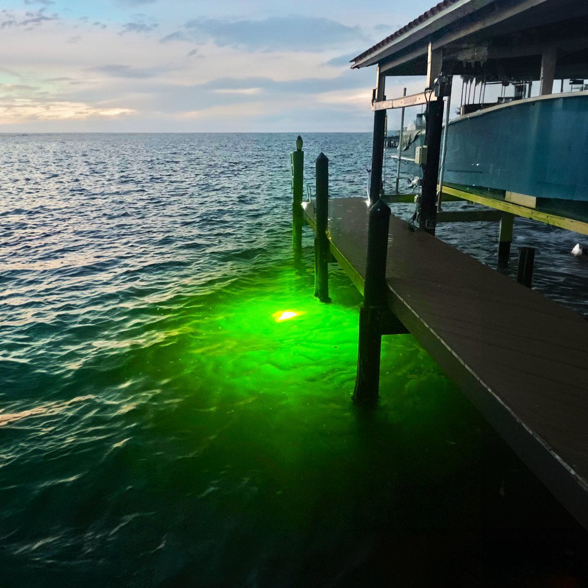 We’re illuminating the world, one dock at a time! Shop in-store or online at fishlight.com

#fishlights #underwaterilluminaton #greenlights #docklife #swflorida #nightfishing