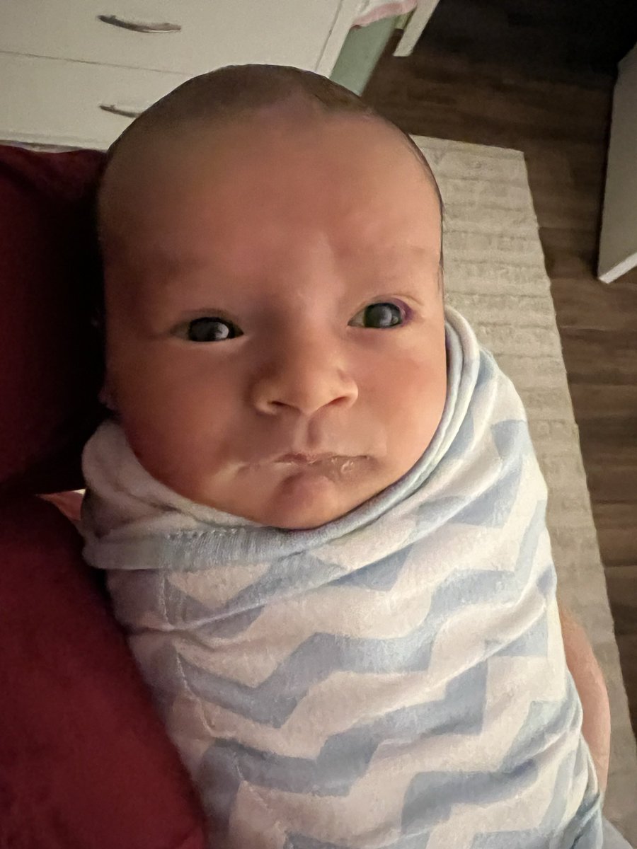 My second little baby was born last week and we are so, so in love with him. Welcome to the world, sweet Harry🩵