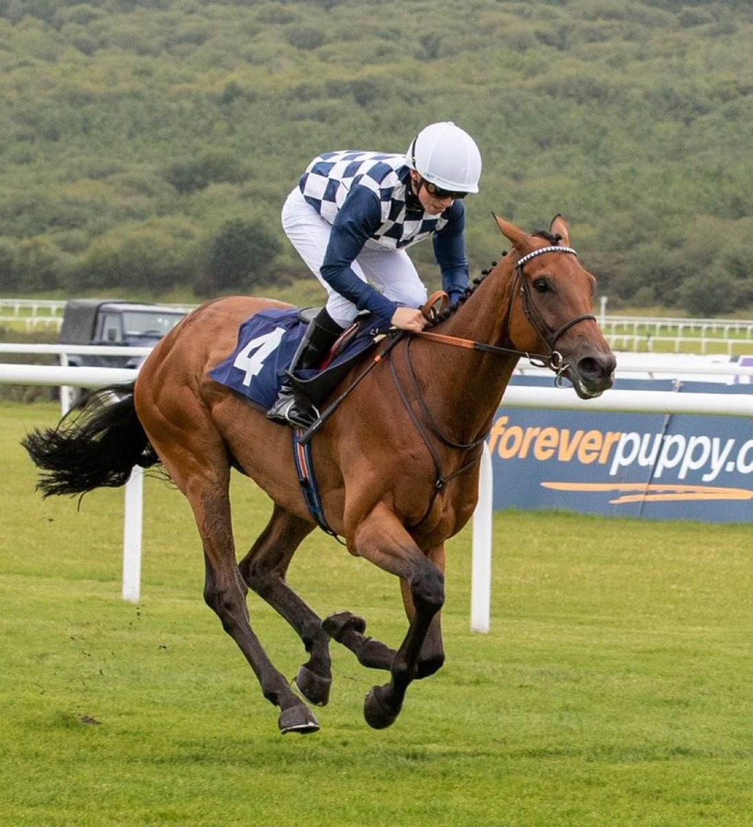 FredDalyRacing's tweet photo. Golden shot🏆. Overwhelmed to ride my first winner on my first ride for @HeathHouseNkt today. I cannot thank Sir Mark, William and all the team at home for their support and to Mr Sturt and connections for the opportunity to ride him today. #winner1 https://t.co/EB2Ubc6Z5Q