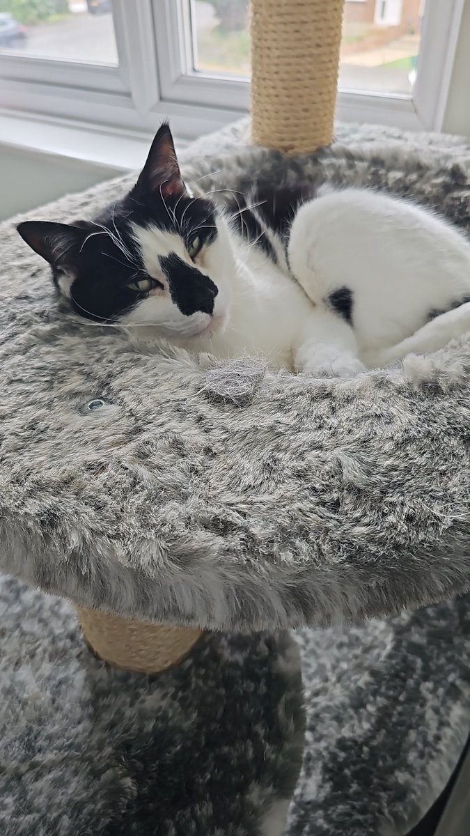 Naomi Sayers tweet media