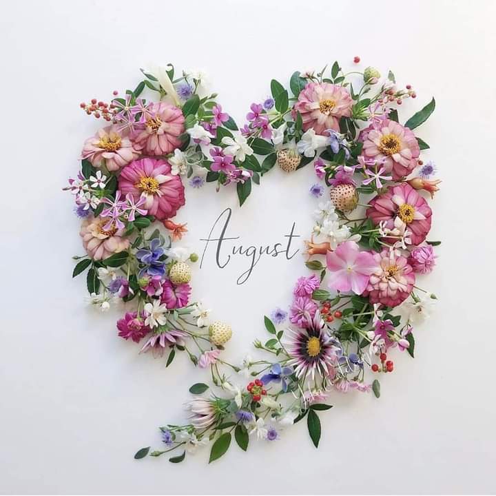 🌸🌸🌸🌸🌸🌸🌸🌸🌸🌸🌸🌸🌸