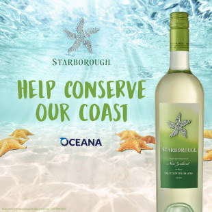 HenryFoxSales's tweet photo. Soak up the sun and help conserve our coasts 🌎 with Starborough! Starborough will donate $1 of every bottle sold to Oceana, one of the largest international organizations focused on protecting oceans. 🐚🐠🐟

#Starborough #SauvignonBlanc #Conservation #Oceana https://t.co/Rpe8t2vkPZ