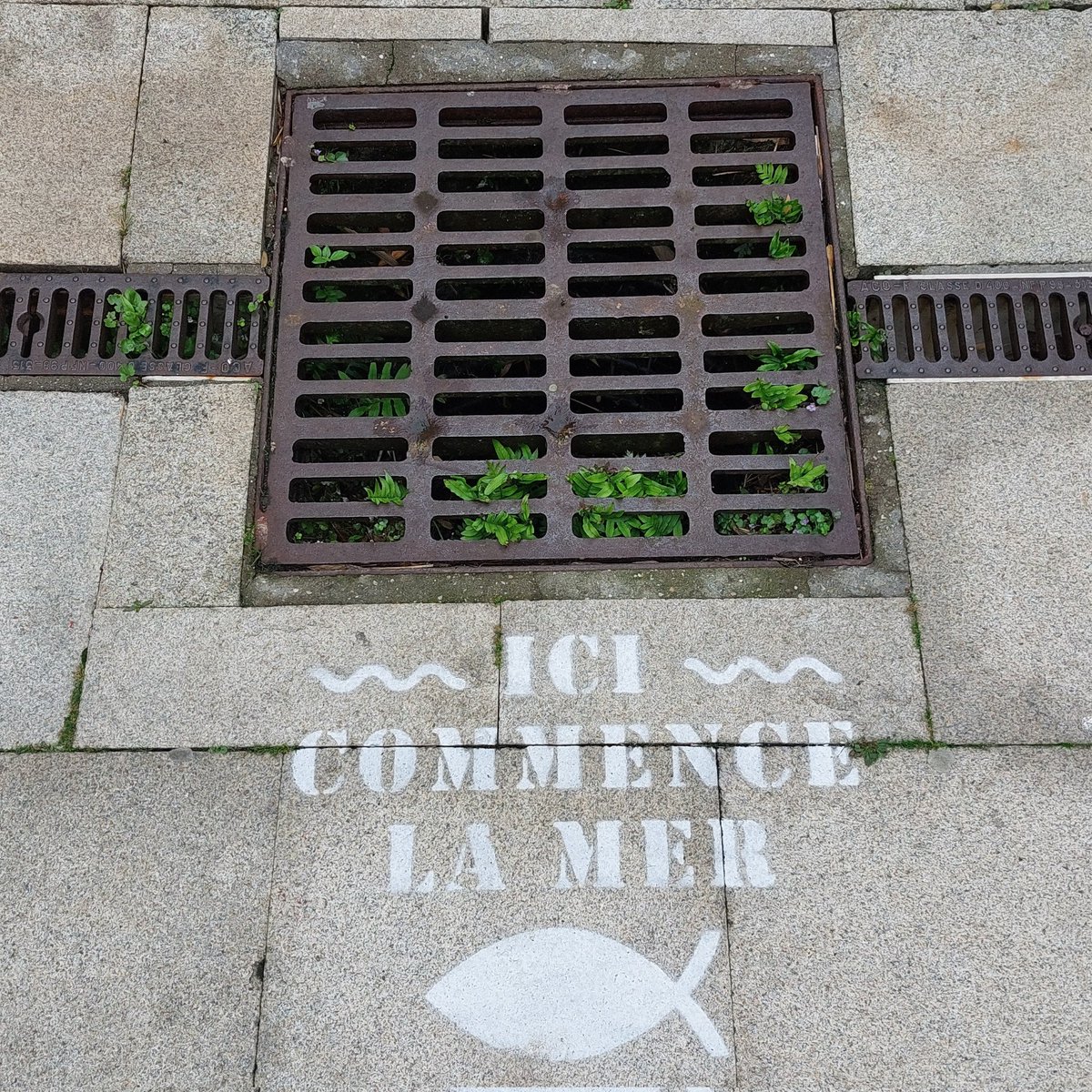 Prof. Christian Dunn tweet media