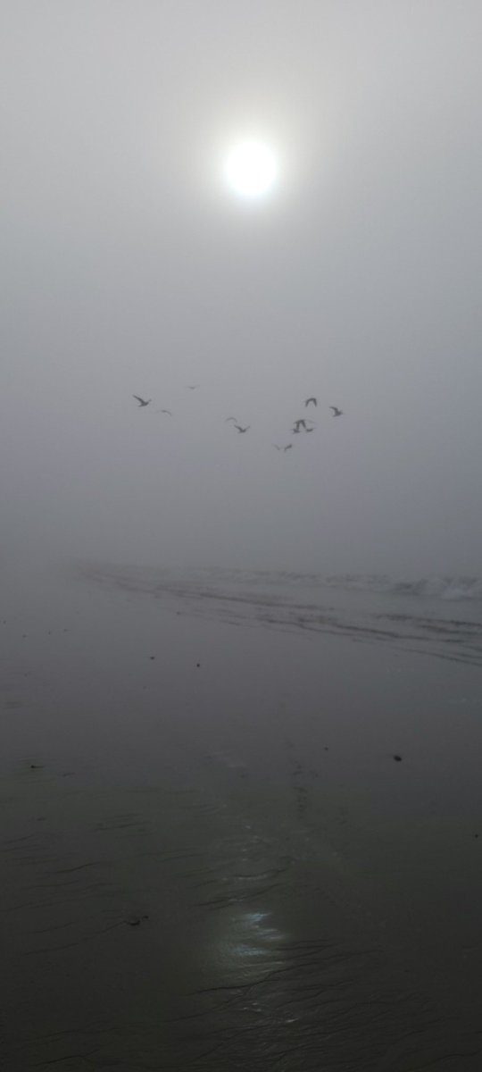 JFave5's tweet photo. "When one properly sees that in all activities no other performer is at work than these modes of nature and one knows the Supreme Lord, who is transcendental to all these modes, one attains My spiritual nature."~
Bhagavad-gita 14.19 https://t.co/JVCpjF5Q4T