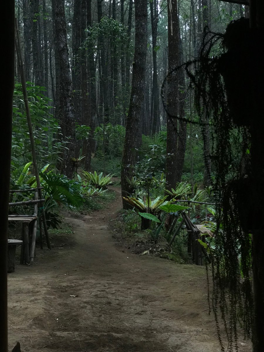 Glgnala's tweet photo. 🎧🌳🪵
now playing : Nanti Kita Seperti Ini https://t.co/ZV3roVeFV6