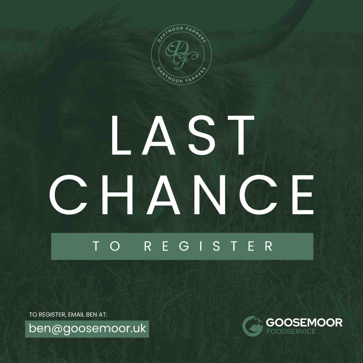 goosemoorfoods's tweet photo. Last chance to register your interest for Monday 14th Road trip to Dartmoor to meet the amazing Dartmoor Farmers and the amazing cattle …. Plus BBQ and refreshments #dartmoorfarmers #dartmoor #meetthefarmers https://t.co/kNtW1D2Rsj