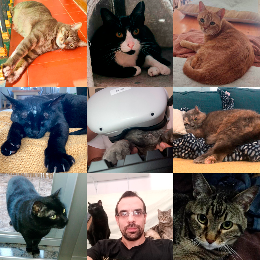 OddersLab's tweet photo. Happy #InternationalCatDay ! At Odders Lab we are cat lovers, so much that our cats didn't fit in a single picture!
Meet the purrfect team that help us manage stress, get inspiration and deploy code! 😺
Are you cat lovers too? Show us your feline friends! https://t.co/kQ0ADSBbm6