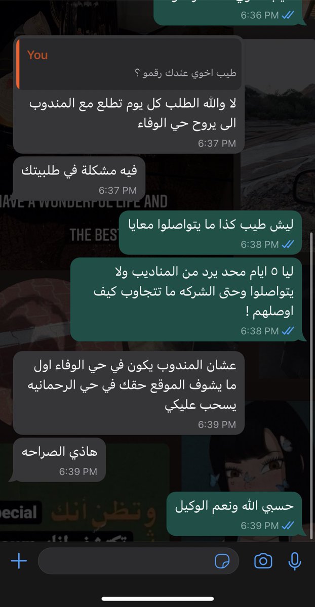 نملـة 🐜 tweet media