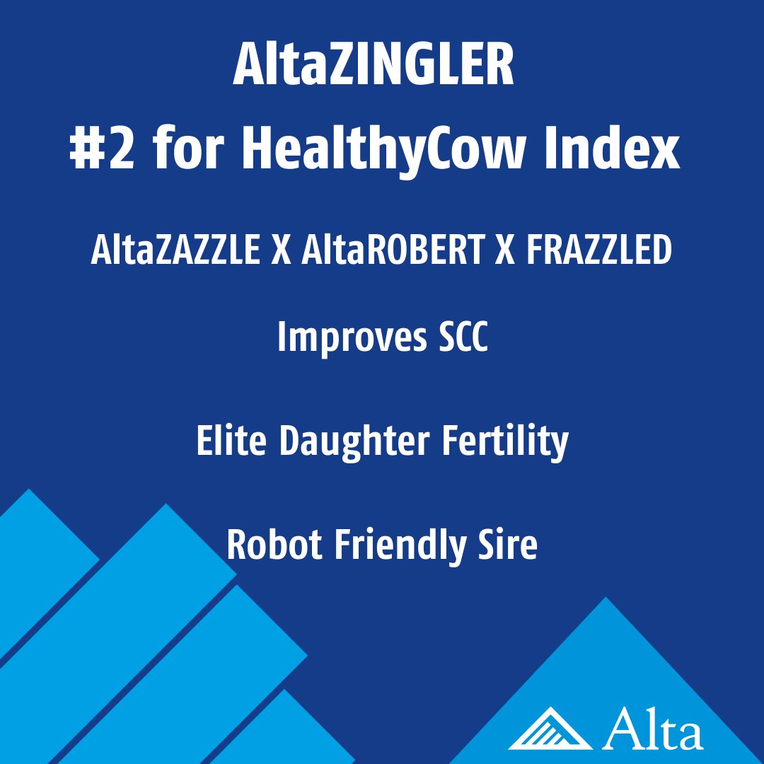 AltaGeneticsUK's tweet photo. 👀 Proof NEWS!
The HealthyCow index enables you to find bulls that will breed even more fertile, healthier cows that stay in the herd for longer.
We know you want to breed profitable genetics into you herd.
#Altagenetics #proofday #futureherdinside #dairygenetics https://t.co/iiViwNt86W