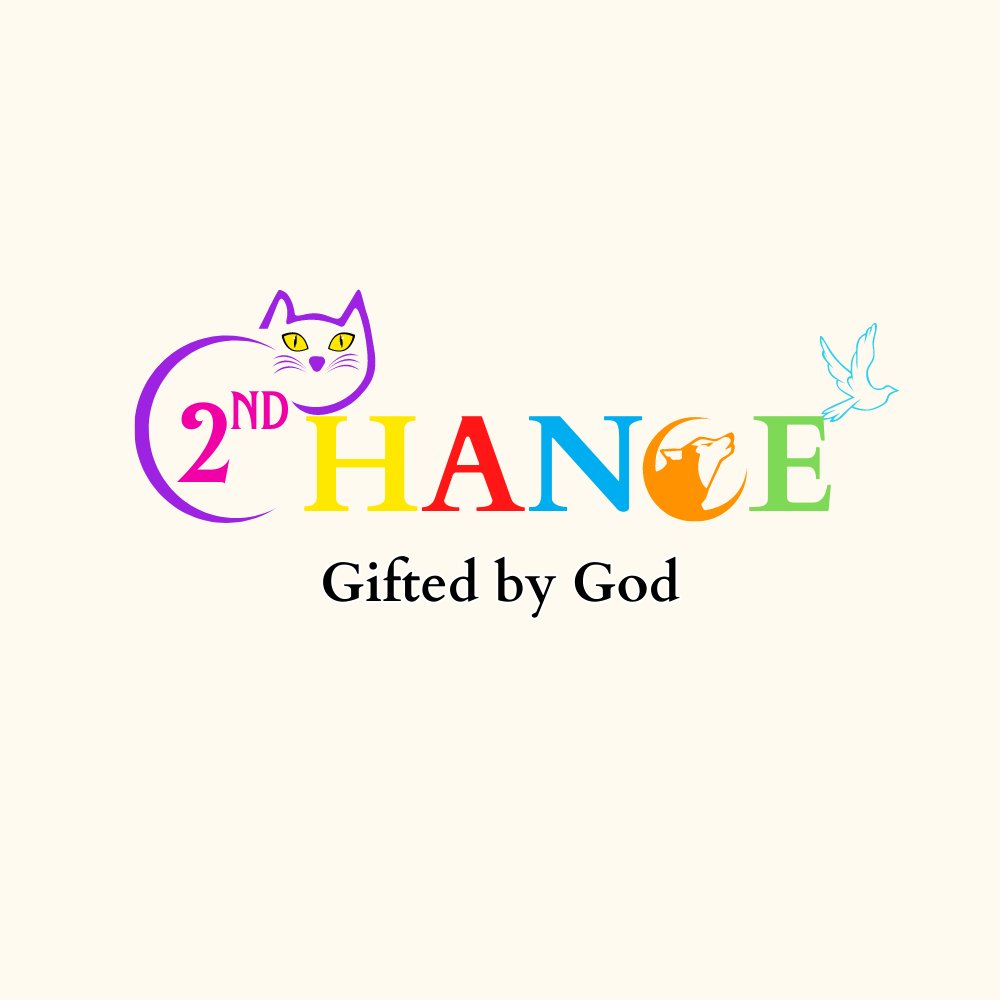 CheryFreelancer's tweet image. Your Brand&apos;s Identity Starts Here!

#cherryfreelancer #creatingtheidentity #logo #logodesign #logoinspiration #logobusiness #logodesignservices #visualidentity #logobranding #identitydesign #corporateidentity #brandlogo #logoconcept #logosymbol #logotype #letterform  #brandmark