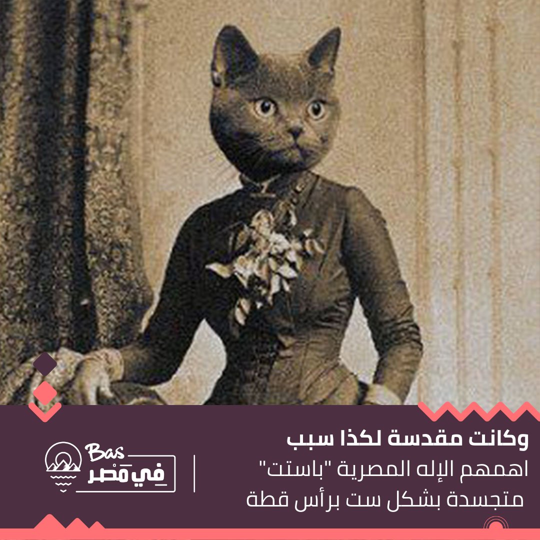 basfimasr's tweet photo. فى يوم العالمي لكائن المياو 😺
هنحكيلك عن سر حب المصريين القدماء للقطط 

احكلنا انت كمان ايه سر حبك فيهم

#بس_في_مصر https://t.co/L85KwzvEWC