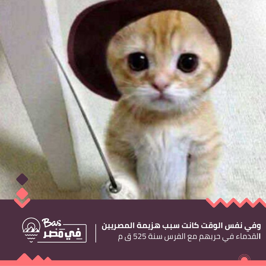 basfimasr's tweet photo. https://t.co/bj9yDjQ2Sg