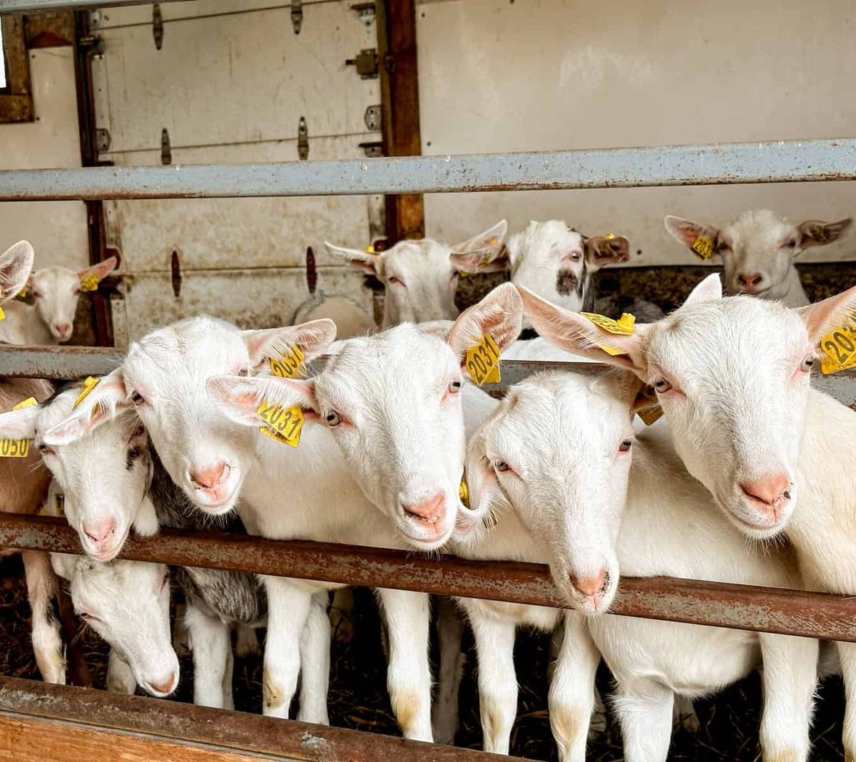 Culture Magazine tweet media