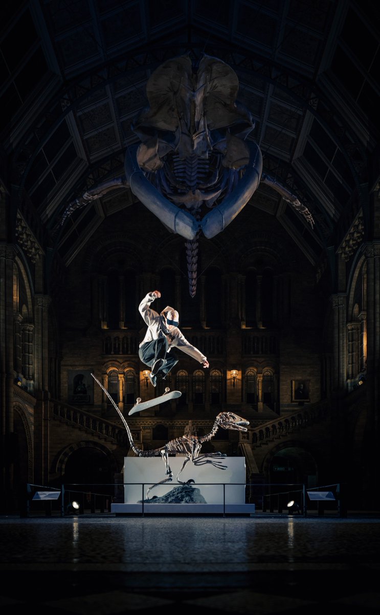 Bist du von diesen Aufnahmen so begeistert wie wir? 🤩 Mit Red Bull haben wir das Natural History Museum in London unsicher gemacht. Ambassador Lorenz Holder hatte die EOS R5 dabei und hat die coolsten Skate-Stunts eingefangen. 📷🛹

Zum Behind-the-scenes: canon.sm/42NoOyD