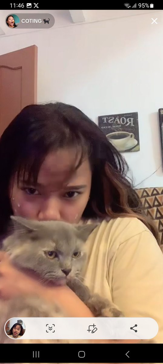Cokei19ofc's tweet photo. Baby mia masama loob mo sa fur momma mo jusko ang cutie nio @pusacoting03 https://t.co/o7fQ4drS2u