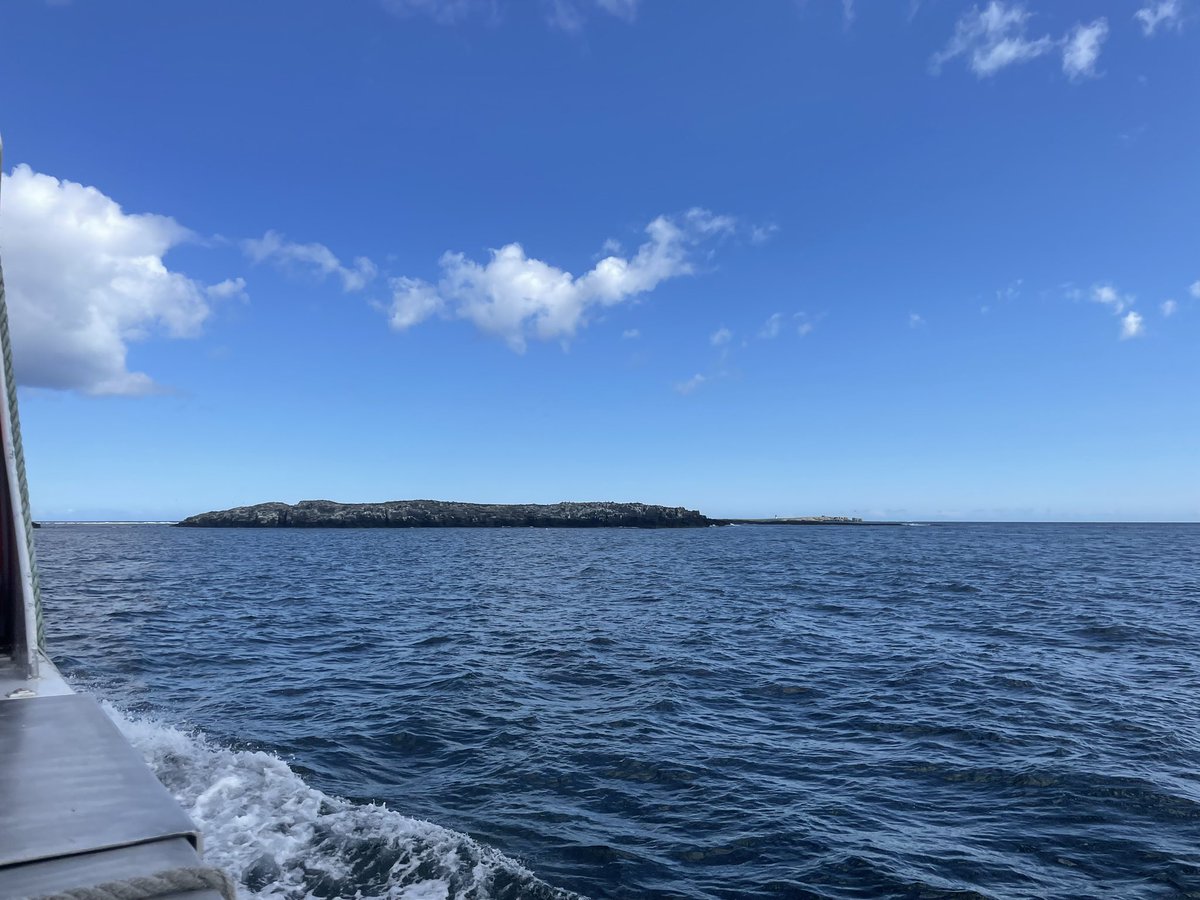 Kieren has had a great boat trip today with @thefarneislands in Northumberland ⛴️🦭