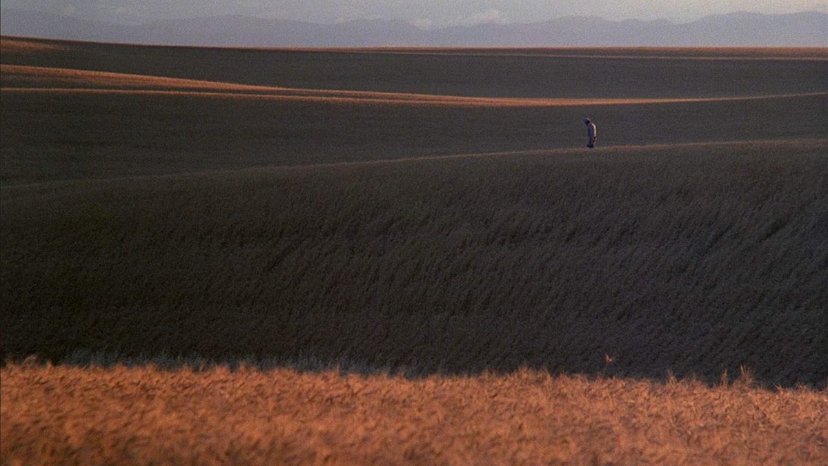 DAYS OF HEAVEN plays tonight at 7:00pm! An immersive tale of love, murder, and poignant storytelling. Simply one of the most ravishing films ever made, luminous in a way that no other movie has been.' - London Evening Standard Tix and info: rb.gy/d7bck
