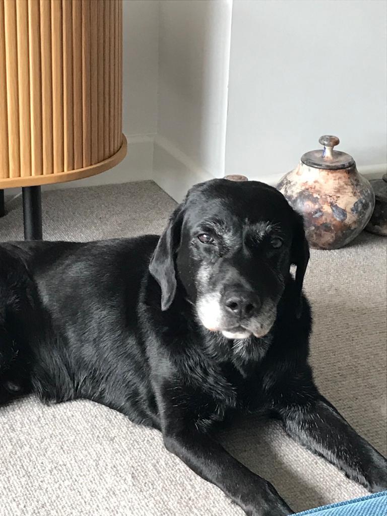 K999Cops-OAPs tweet media