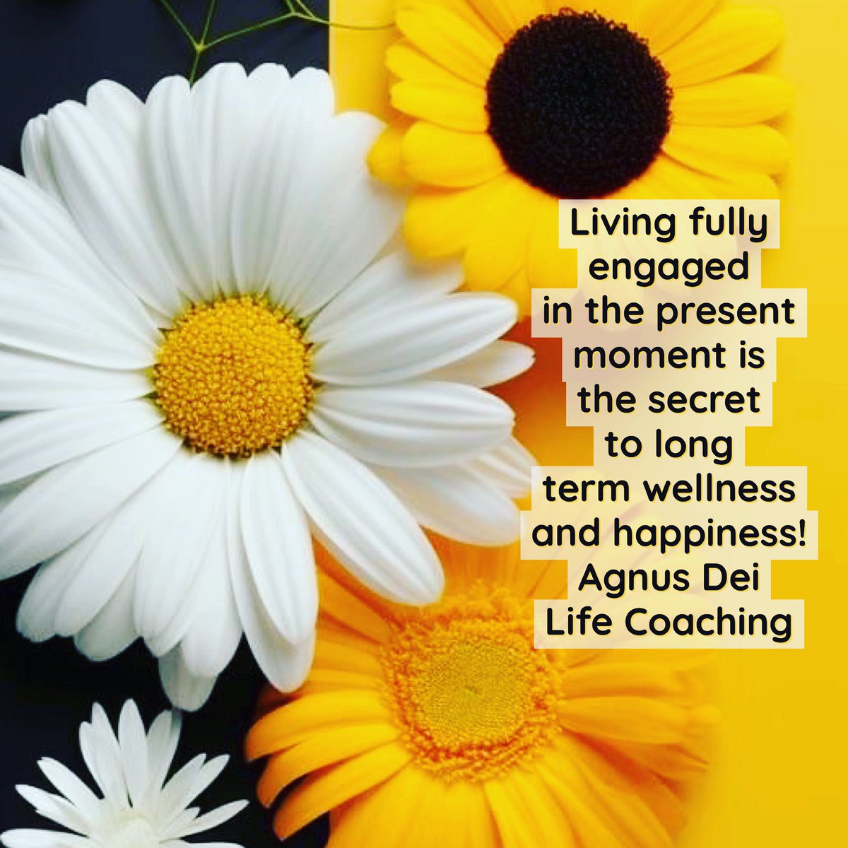 Living fully engaged in the present moment is the secret to long term wellness and happiness! #TuesdayTips