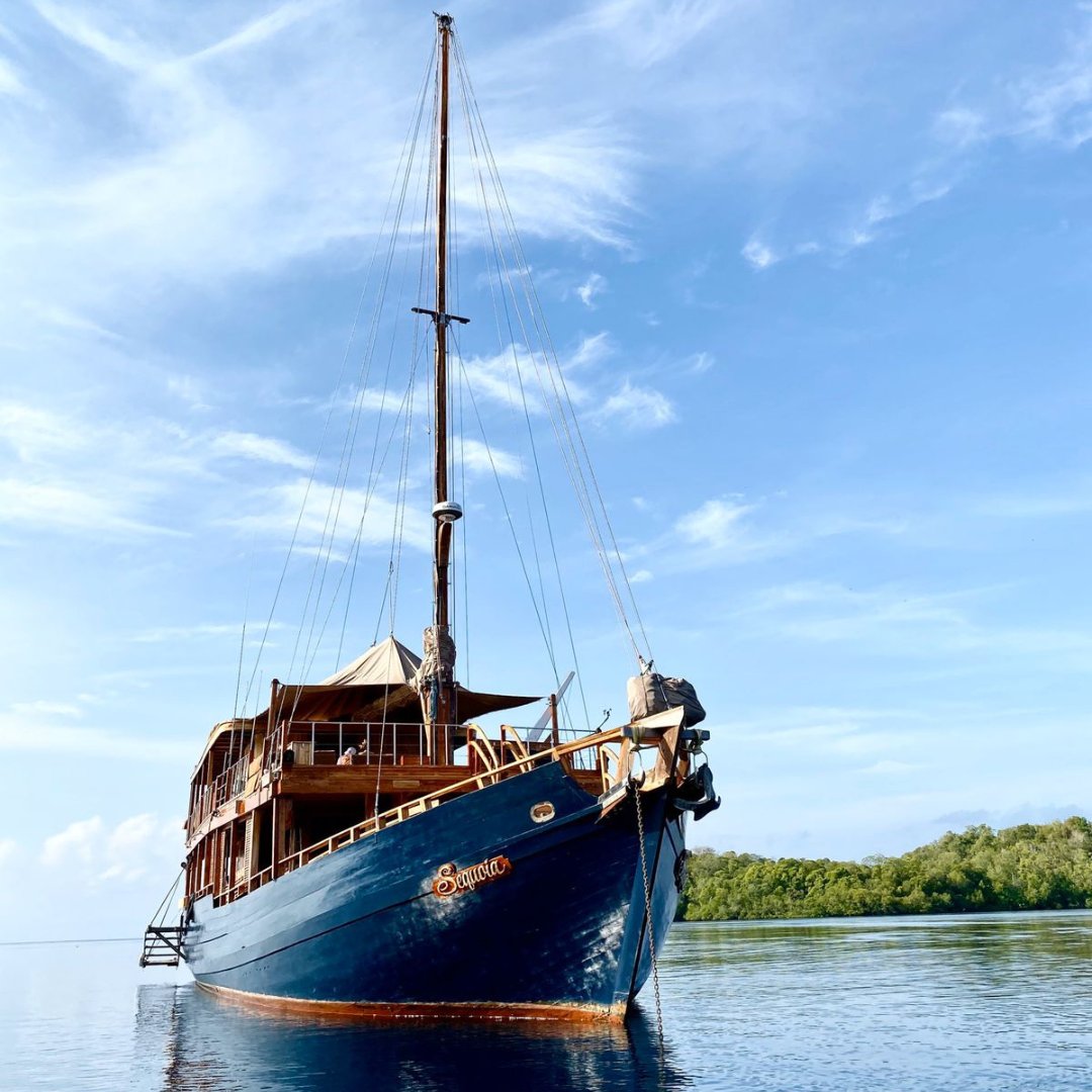 Camper & Nicholsons tweet media