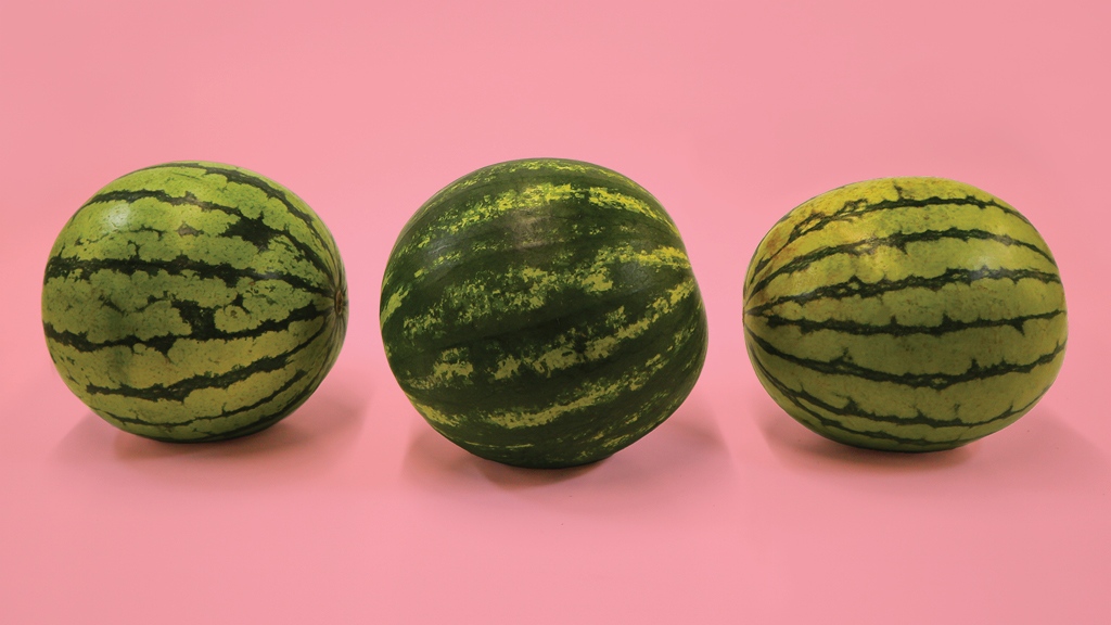 boosterjuice's tweet photo. WE GOT THE MELONS 🍉🍉🍉 #WatermelonExplosion #WatermelonWave #🍉 https://t.co/fTWtlRuRwG