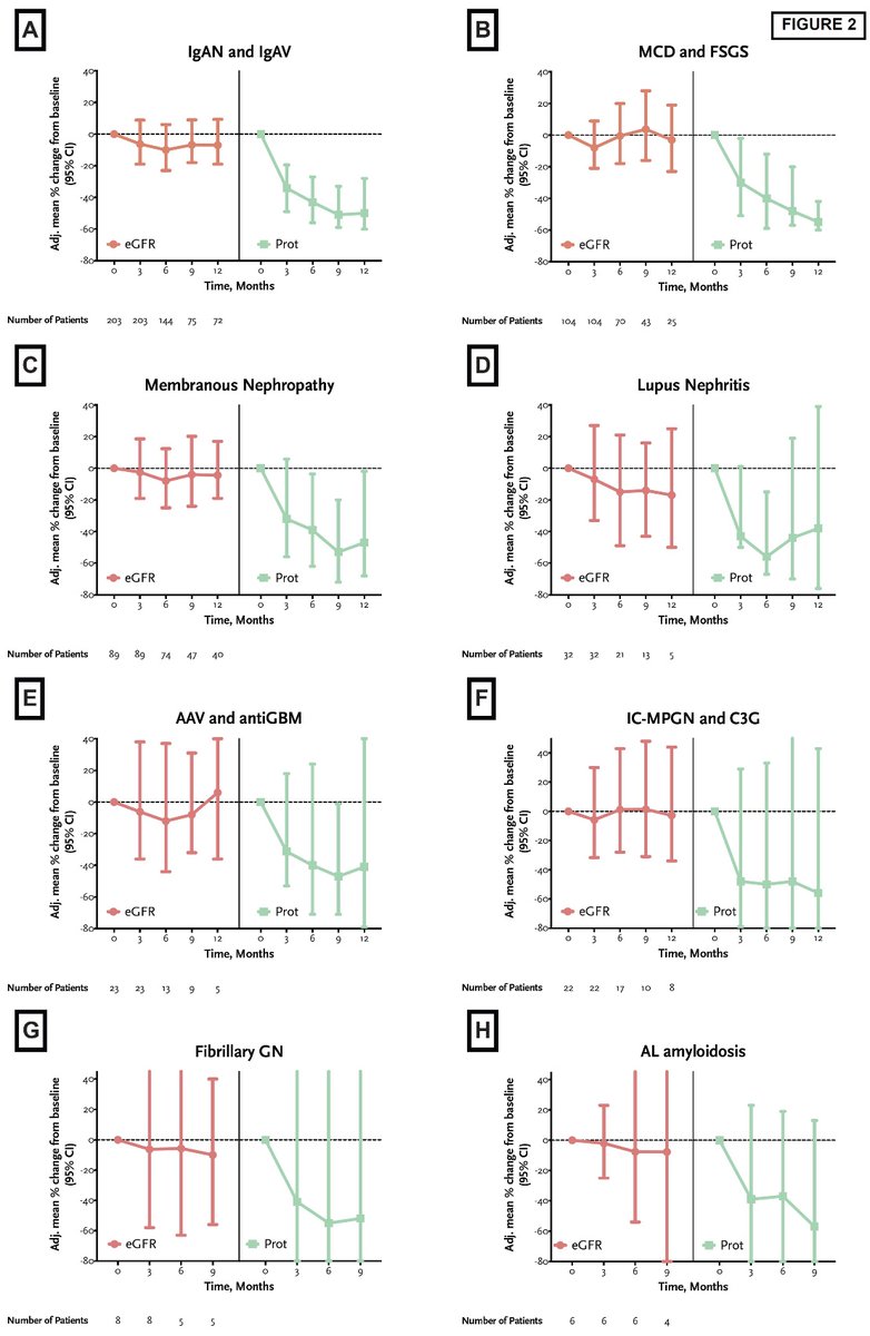 SGLT2i will eventually also become standard therapies in immune-mediated kidney diseases. A true international effort led to this publication led by <a href="/fcaravacafontan/">Fernando Caravaca-Fontán</a>, Gema Fernandez-Juarez and Manuel Praga academic.oup.com/ndt/advance-ar…
<a href="/NDTsocial/">NDT</a>