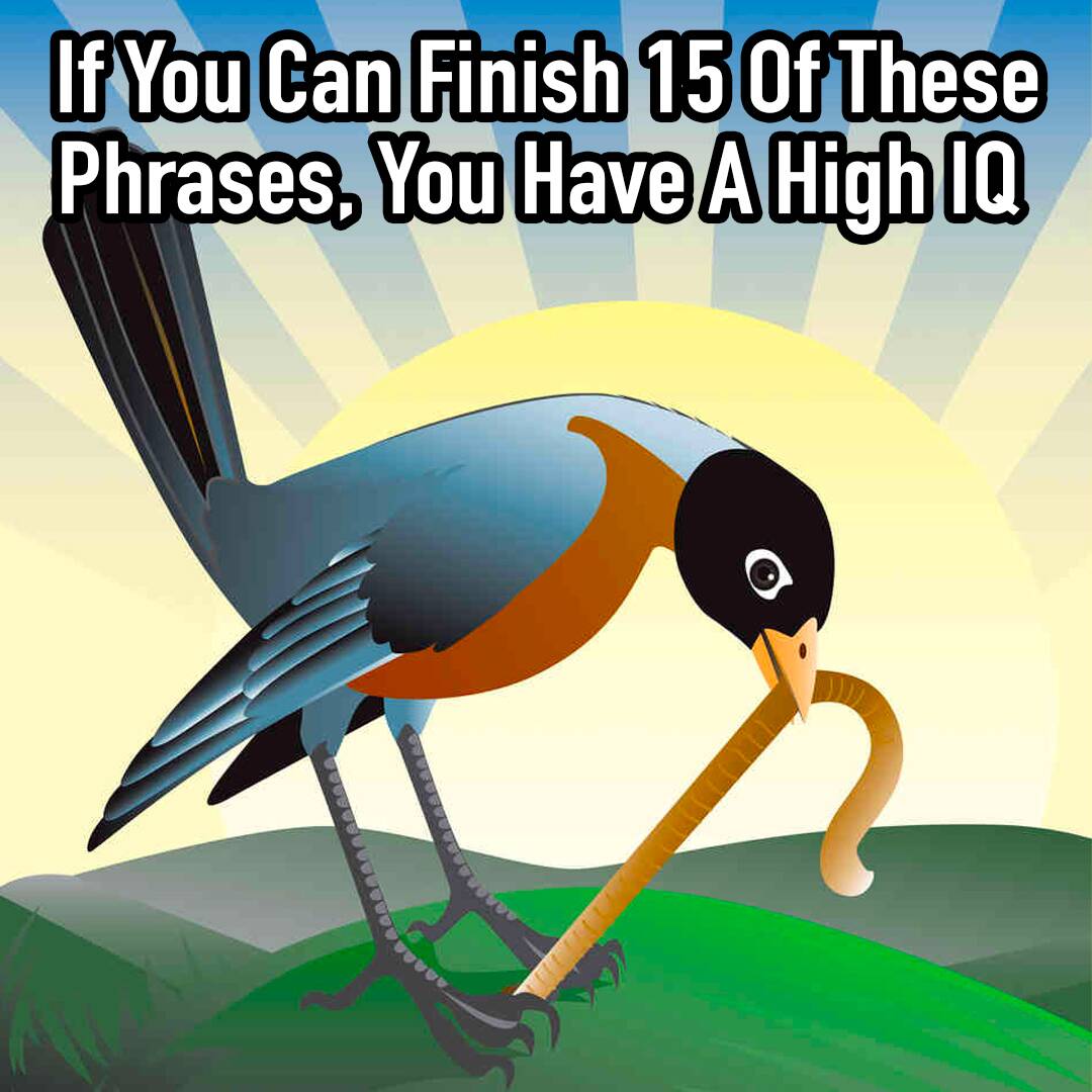 BUZZNET's tweet photo. Most people know these common phrases off the top of their head. 🧠