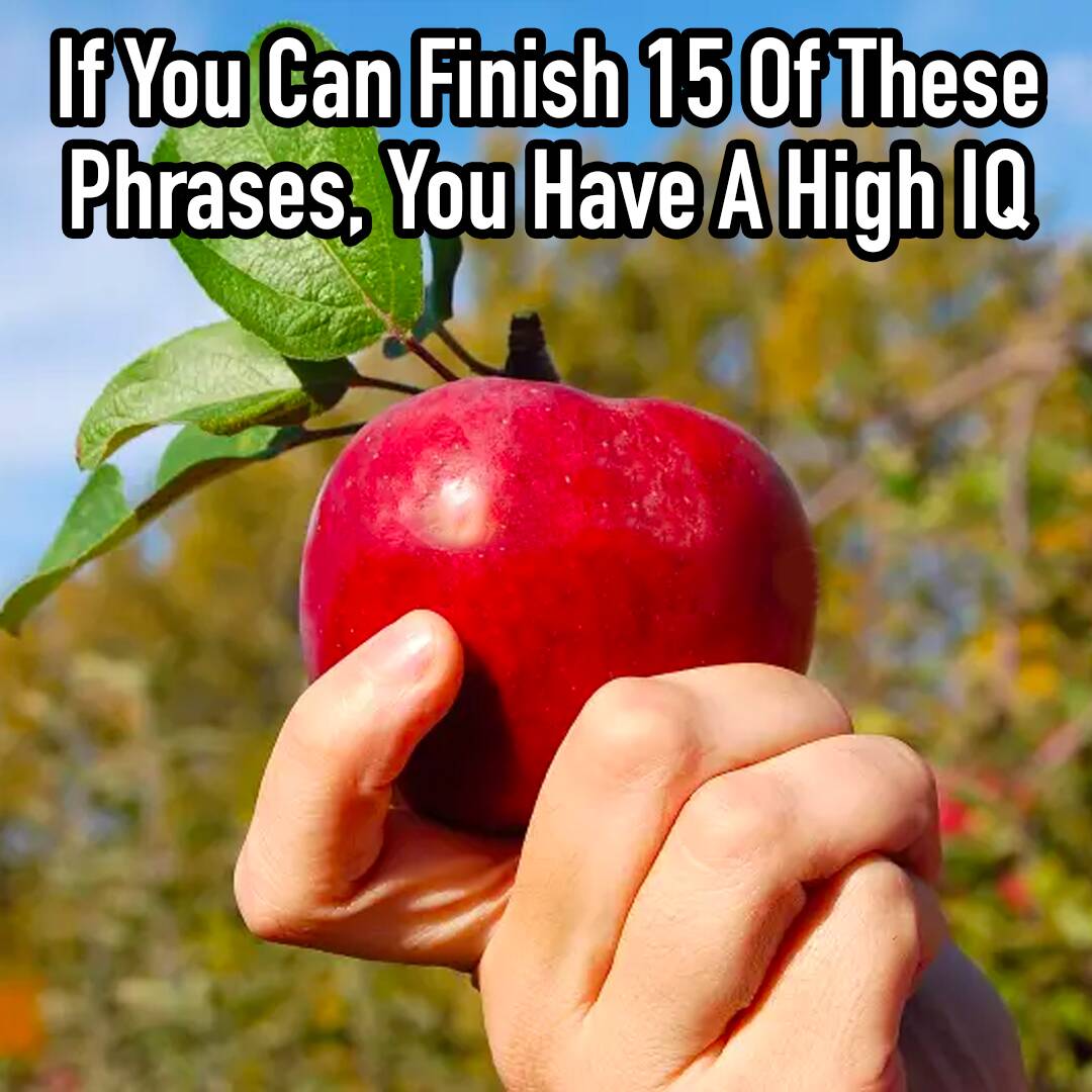 BUZZNET's tweet photo. Most people know these common phrases off the top of their head. 🧠
