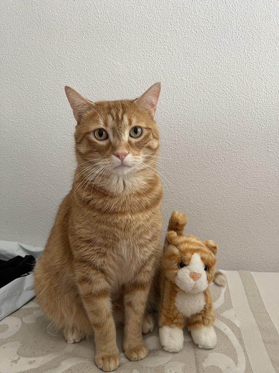 CARLA (@cartagenaa__) on Twitter photo 