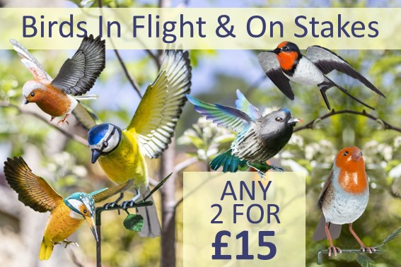 TheGardenFactor's tweet photo. Any 2 for £15 on Metal Garden British Birds in Flight or on Stakes. Ideal as a Gifts. #gardening #gifts #giftideas https://t.co/Mh1BgLkGXv https://t.co/BSXPz8Pqz0