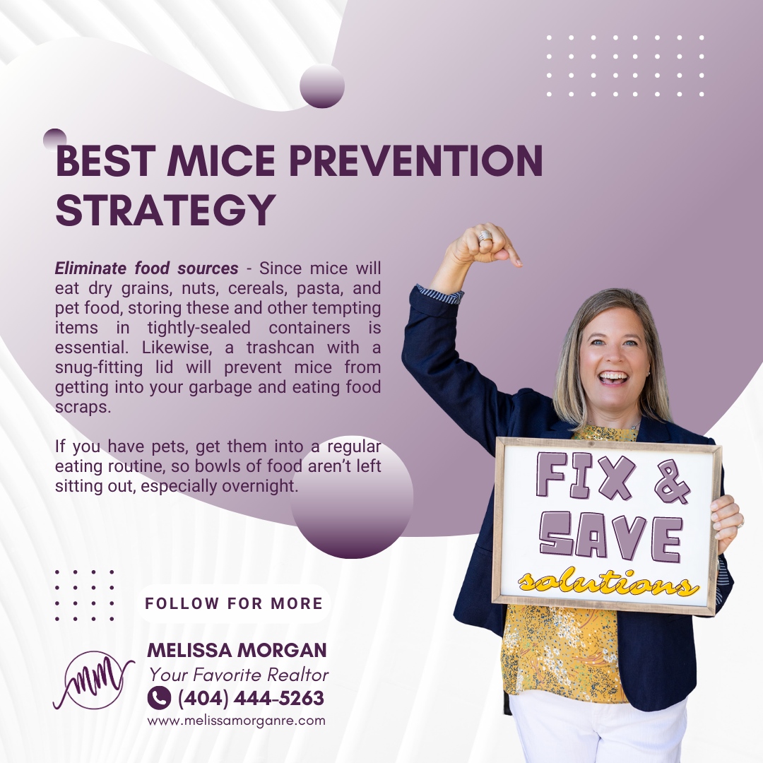 Say goodbye to those pesky little critters with these simple tips to keep your home mouse-free! #MicePrevention #HomeHacks #CleanLiving #PestControl #HomeMaintenance #melissamorgan #yourfavoriterealtor #marketmaven #fixandsavesolutions