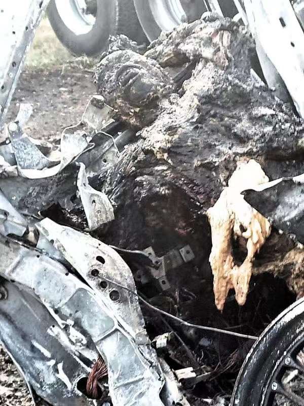 老鱼有话说 Bill1st tweet media