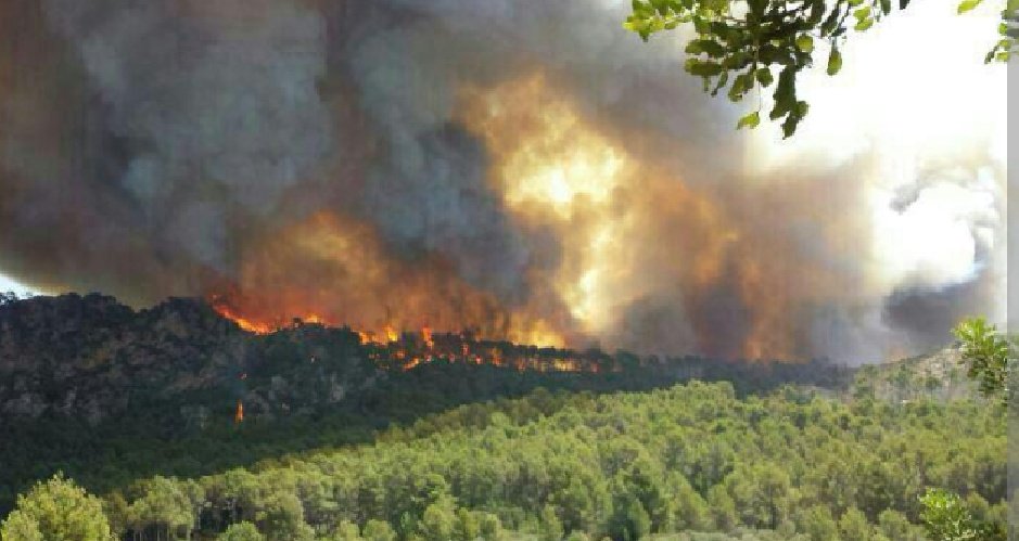 En #UnionEuropea los grandes incendios forestales no deberían combatirse con heroismo, deben enfrentarse con prevención: gestión agroforestal activa.
La seguridad ambiental y ciudadana exige invertir en territorio rural
#Selvicultura
#QuemasPrescritas
#GanaderiaExtensiva
#Biomasa