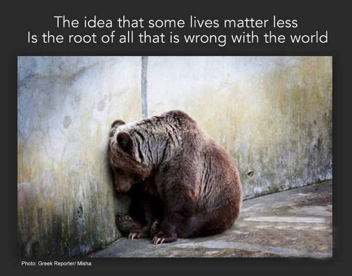 The idea that some lives matter less is the root of all that is wrong in the world.

#save #animals #animalrights #animalrightsactivist #animalrightsactivism #animalrightsmovement #animalrightsmarch #animalrightsactivists #animalrightsadvocate #fightforanimalrights