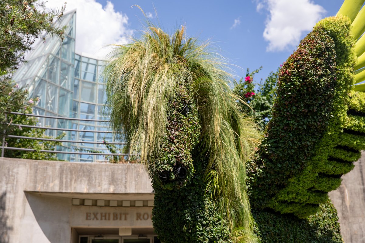 San Antonio Botanical Garden tweet media