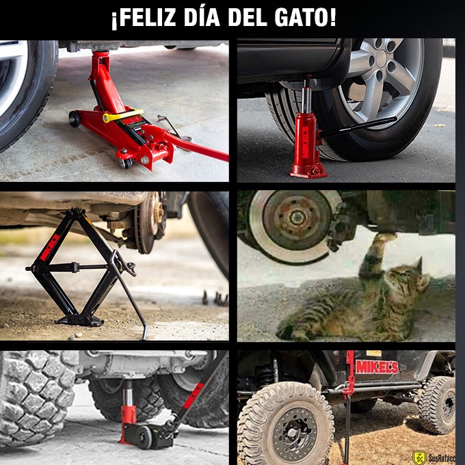 MIKEL´S tweet media