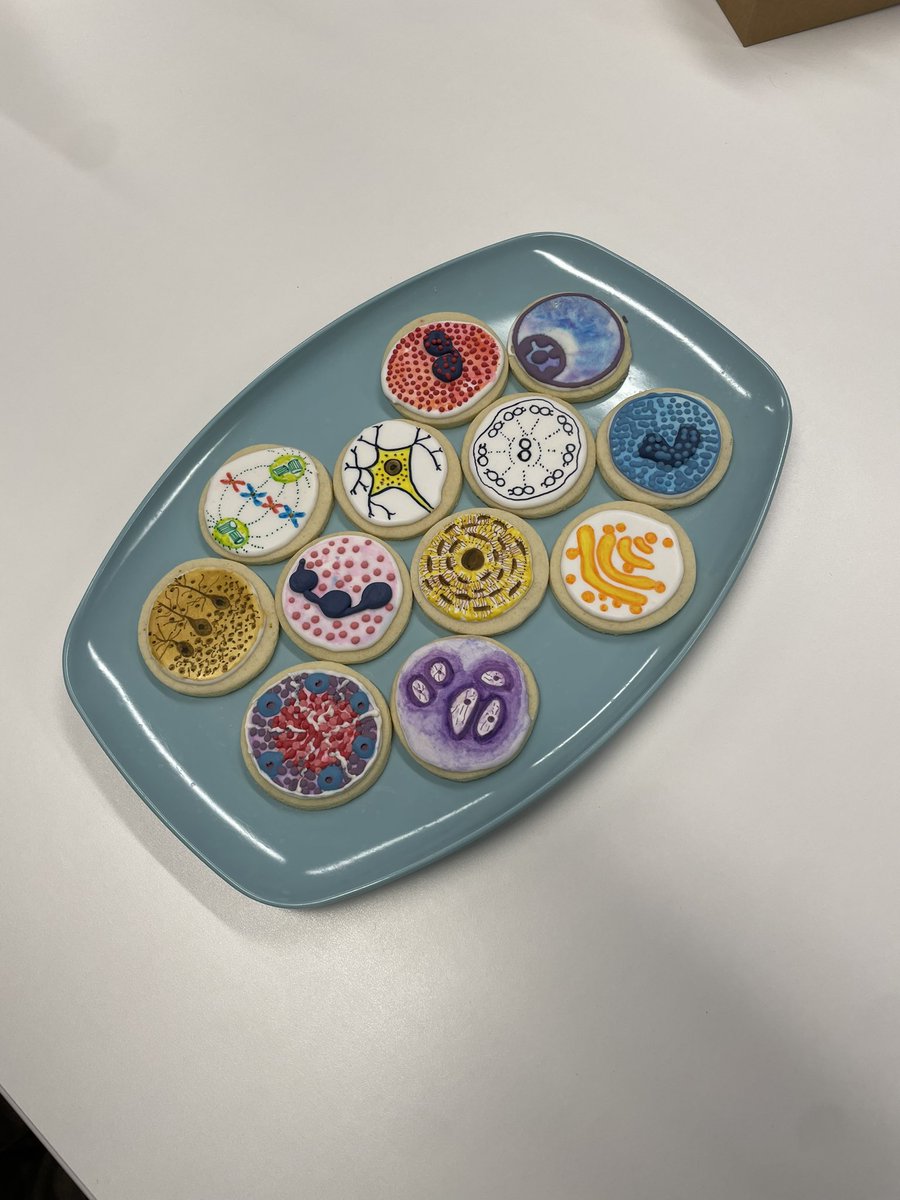 Our awesome histology professor <a href="/nrlangley/">Natalie Langley</a> made us histology cookies to celebrate finishing our first med school exam!

Grateful to be part of <a href="/MayoClinicSOM/">Mayo Clinic Alix School of Medicine</a> 🥰