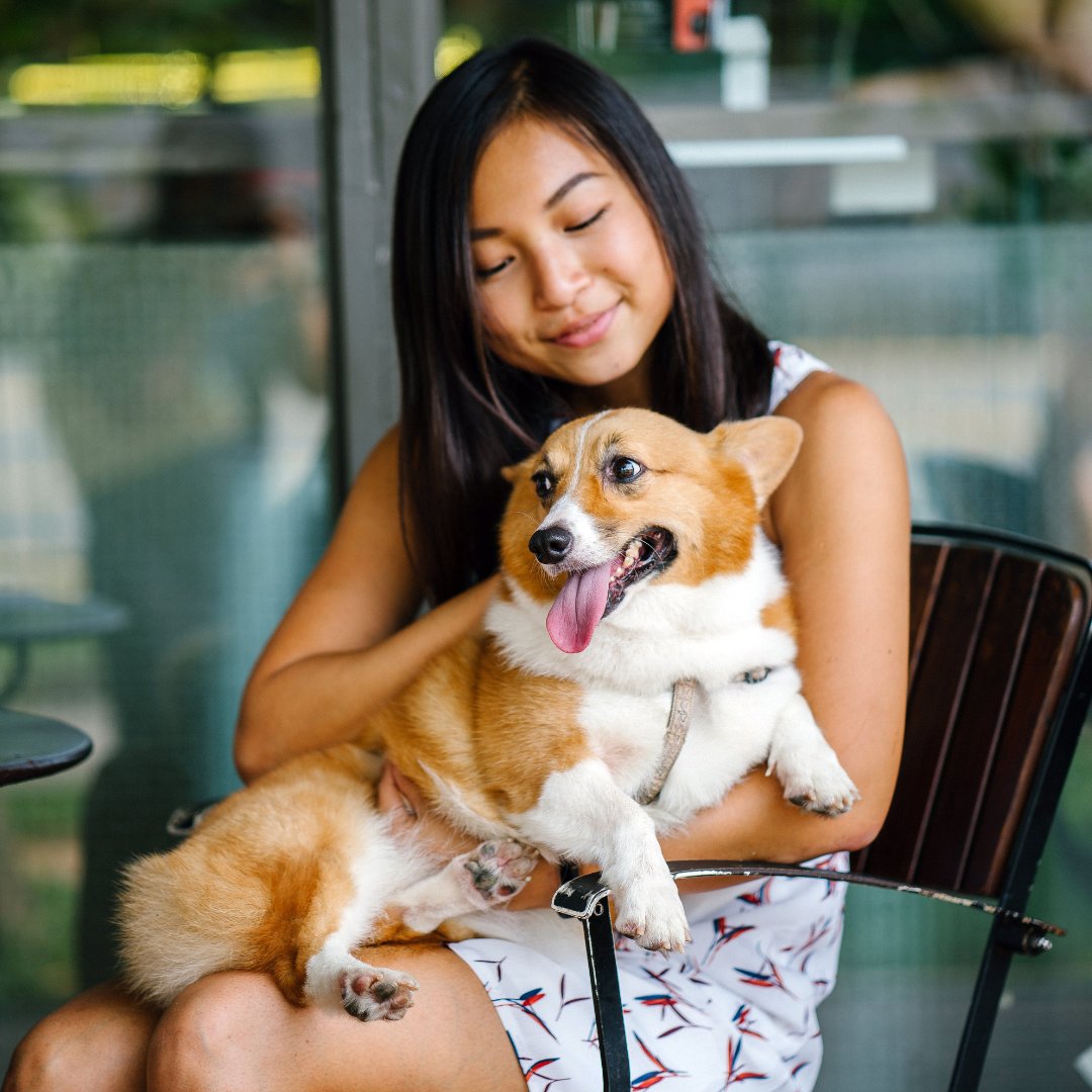 Embarking on adventures with your furry companion not only enhances your own life but also adds to theirs. Dive into our latest blog to discover fantastic dog-friendly spots near you! 🐾🌟 bit.ly/45ibKDd

#dogfriendlyplaces #dogfriendly #tampadog #newyorkdog #atlantadog