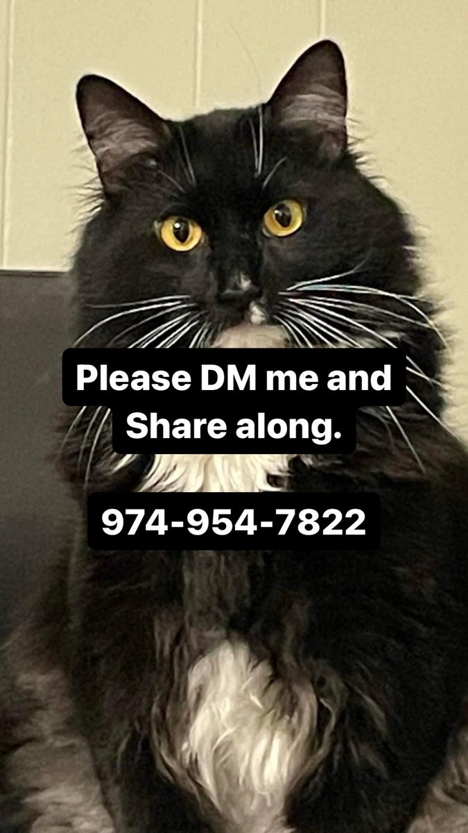 aangelaax's tweet photo. 🆘 UPDATE 🆘

SHE WAS TAKEN AROUND PORT CHESTER NEW YORK https://t.co/OsWfQb2oyt