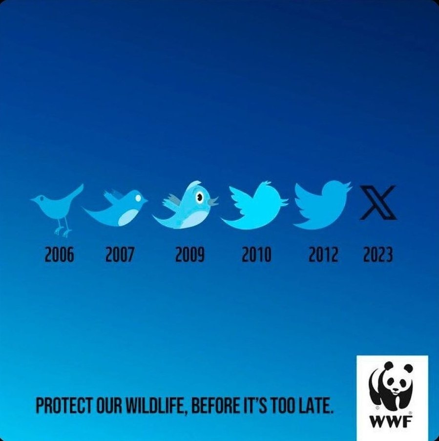 X

#advertisement #WWF #wildlife #protection 💪🏼