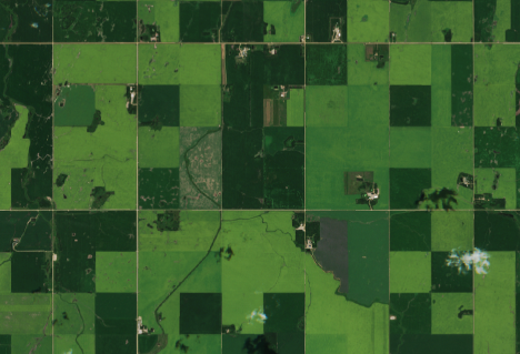 Steve Shirtliffe tweet media